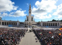 Tours e Transfers à sua medida!