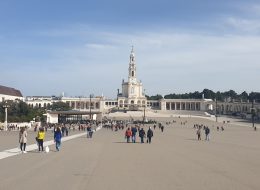 Tours e Transfers à sua medida!