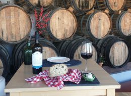 Tours e Transfers à sua medida!