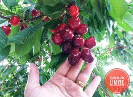 Tours e Transfers à sua medida!