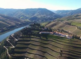 Tours e Transfers à sua medida!